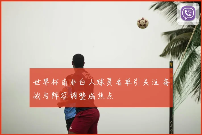 世界杯南非白人球员名单引关注 备战与阵容调整成焦点